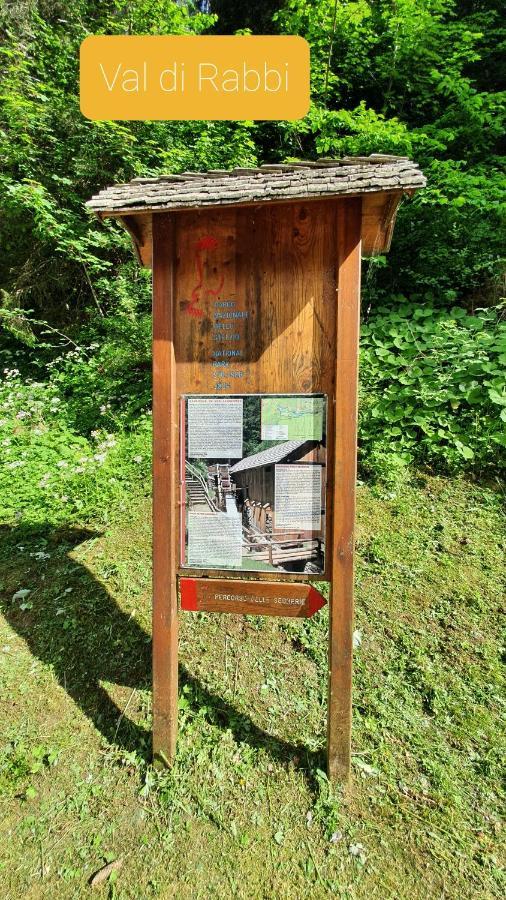 Marmot Apartment Dimaro Exterior photo